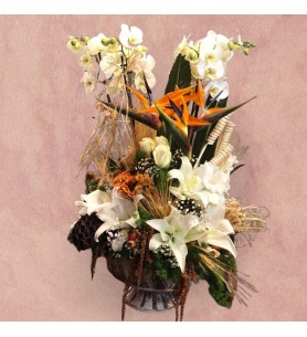 White Orchid w/ Strelitzia and  Lilly